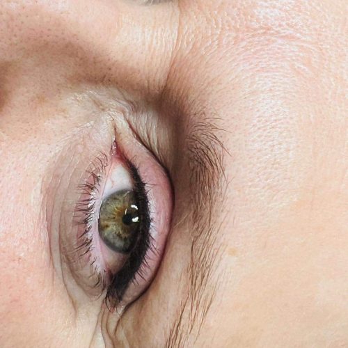 WhatsAppImage2025-11-19at15.46.27